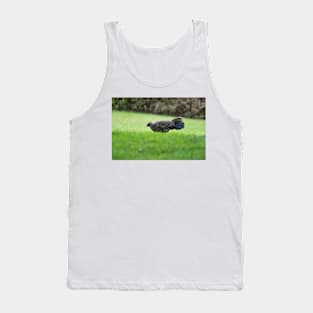 Ring-necked pheasant 2 Tank Top